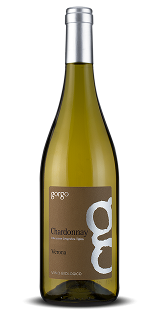 Chardonnay I.G.T. Trevenezie BIO 2021 | Cantina Gorgo