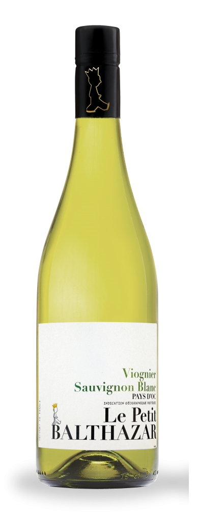 Le Petit Balthazar Blanc 2023 | Pierrick Harang Wine